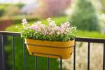 vibia campana trough allin1 50cm honey yellow